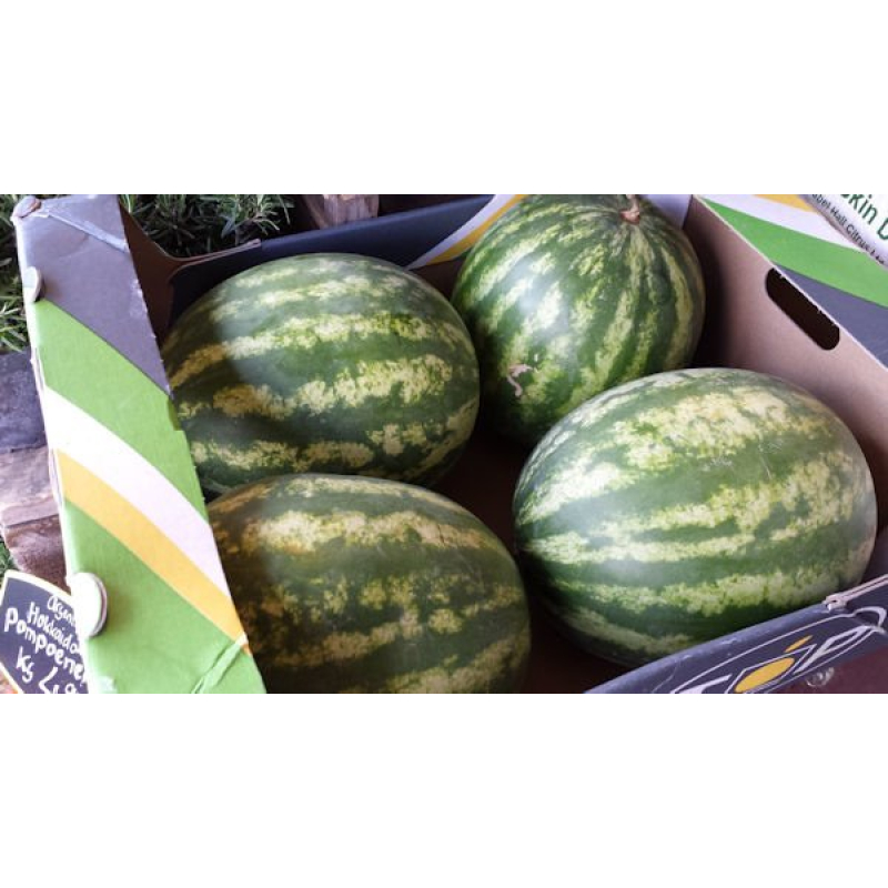 Meloen, Watermeloen grote maat